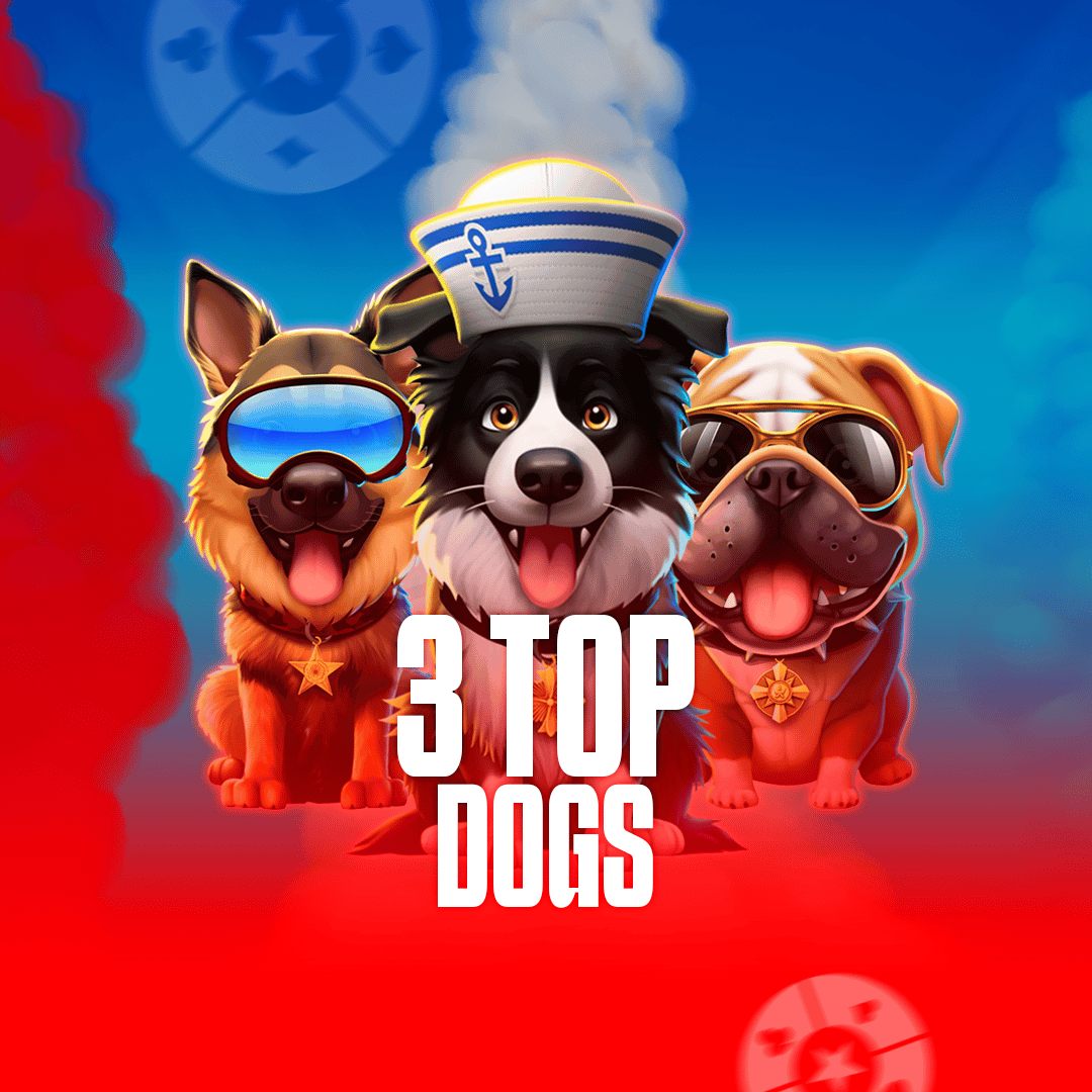 3 Top Dogs 95