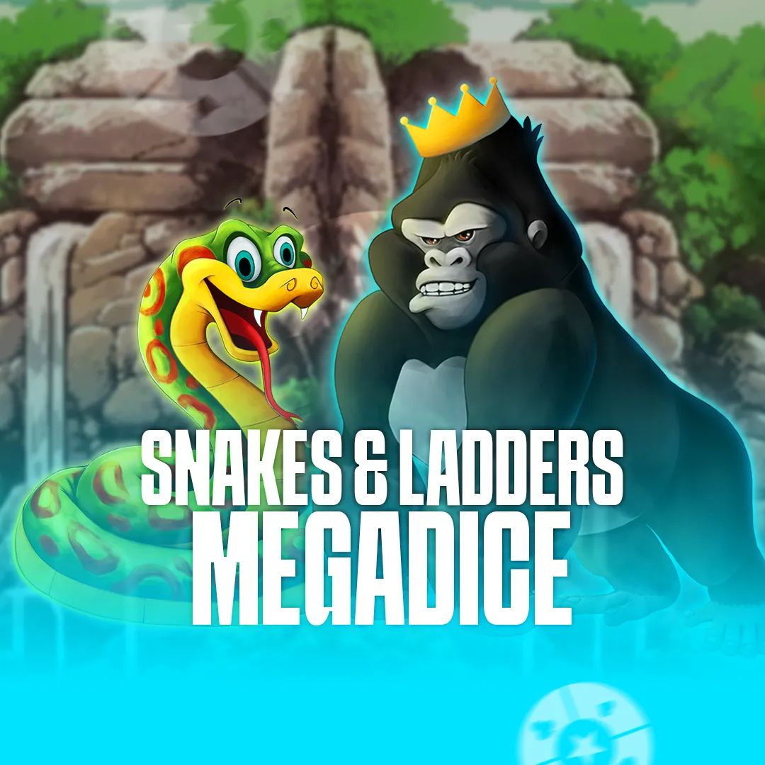 Snakes and Ladders Megadice