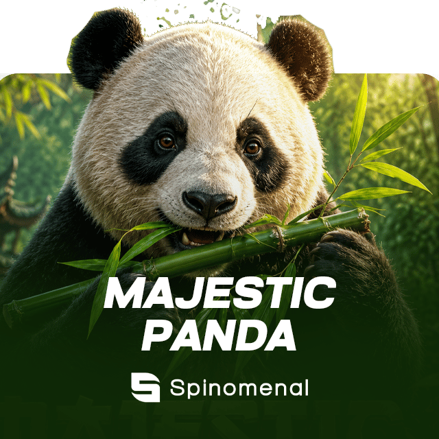 Majestic Panda
