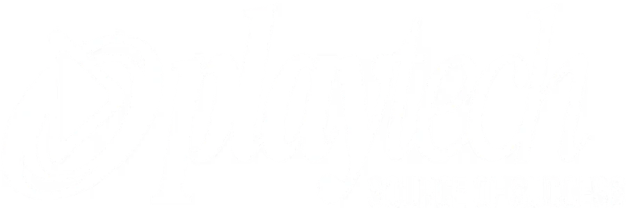 softswiss-playtech