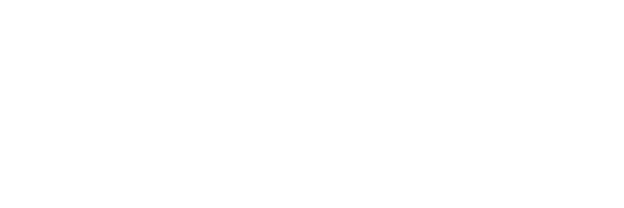digitain-fazi