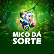 jogo 20