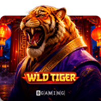 Jogo Wild Tiger; Tigre; Julho Dourado Pixbet - apostas em tempo real com ganhos multiplicados