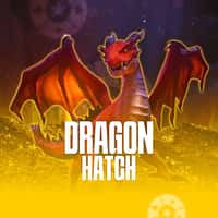 Jogo Dragon Hatch MMABet - apostas em tempo real com ganhos multiplicados