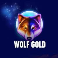 Jogo Wolf Gold Pixbet - apostas em tempo real com ganhos multiplicados