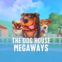 Jogo The Dog House Megaways Pixbet - apostas em tempo real com ganhos multiplicados