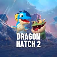 jogo 20