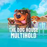 Jogo The Dog House Multihold GANHEI.BET - apostas em tempo real com ganhos multiplicados