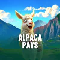 Jogo Alpaca Pays Bet da Sorte - apostas em tempo real com ganhos multiplicados