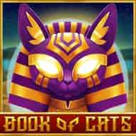 Thumbnail do jogo Book of Cats - MMABet