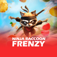 Thumbnail do jogo Ninja Raccoon Frenzy