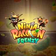 Thumbnail do jogo Ninja Raccoon Frenzy