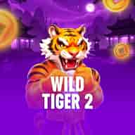 Thumbnail do jogo Wild Tiger 2